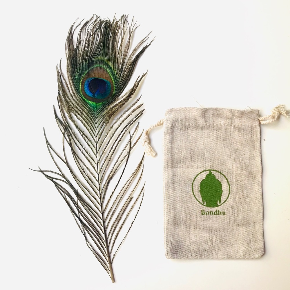 Authentic Peacock Feathers, 3pk Home Decor